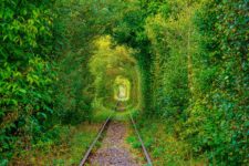 12 Day Bulgaria, Serbia & Romania Tour